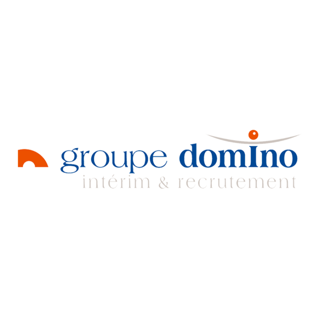 Logo groupe Domino